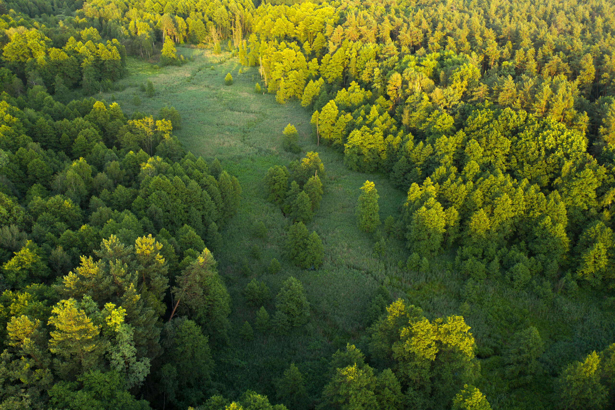 管理事業の取り組み